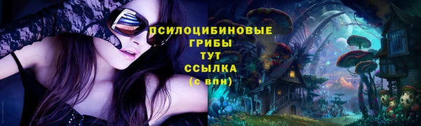 прущий лед Володарск