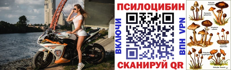 Галлюциногенные грибы MAGIC MUSHROOMS  мега как зайти  Шахты 